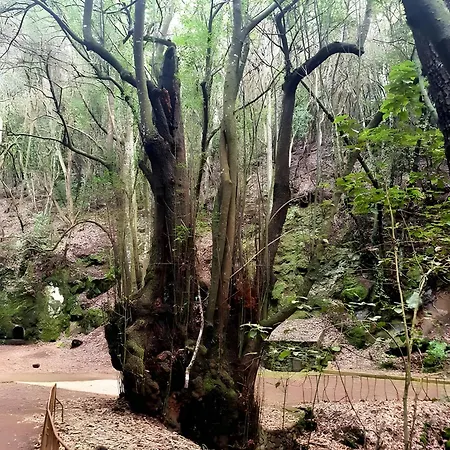 Casa Calma Ll Appartamento Tacoronte